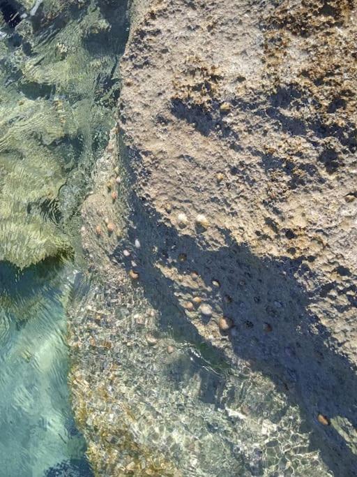 Fillosia Psari Forada Exteriör bild